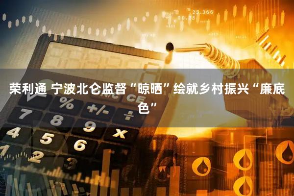 荣利通 宁波北仑监督“晾晒”绘就乡村振兴“廉底色”