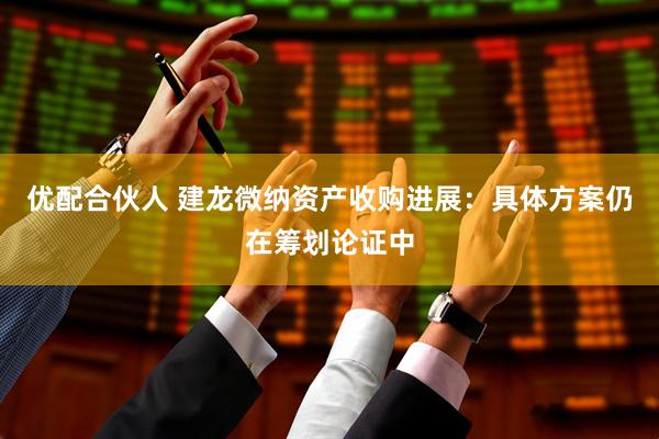 优配合伙人 建龙微纳资产收购进展：具体方案仍在筹划论证中