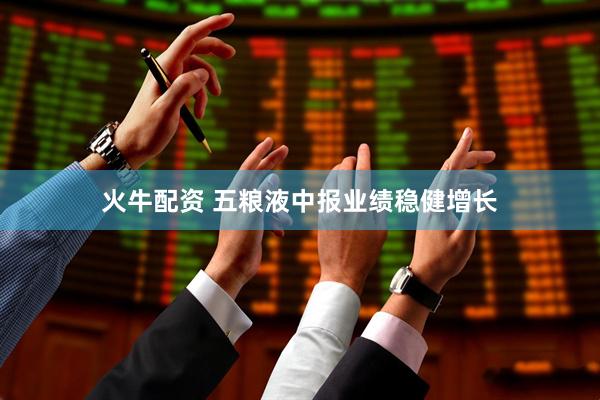 火牛配资 五粮液中报业绩稳健增长