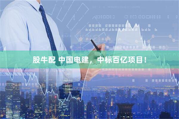 股牛配 中国电建，中标百亿项目！