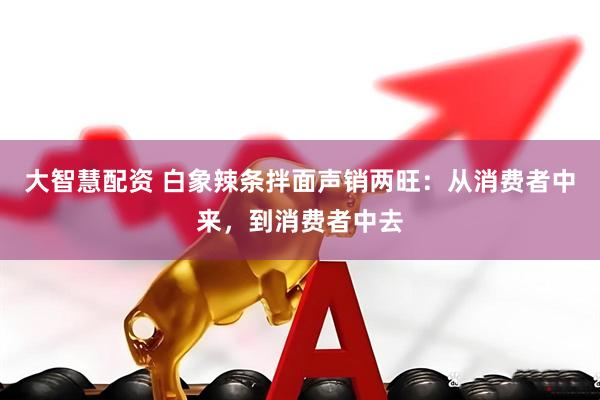 大智慧配资 白象辣条拌面声销两旺：从消费者中来，到消费者中去